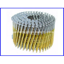 Electro Galvanized Coil Roofing Nail / Roofing Coil Nail